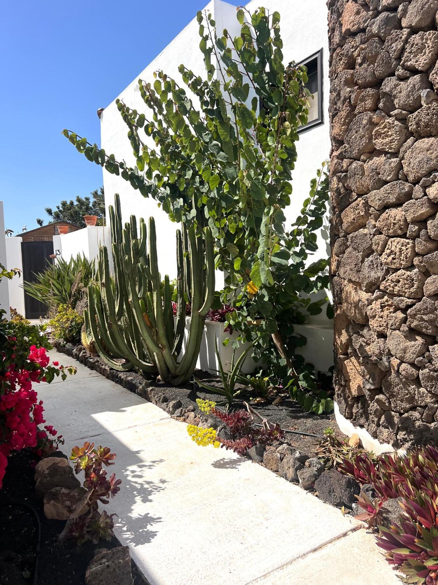 Oasis En Lanzarote Villa Costa Teguise Exterior foto
